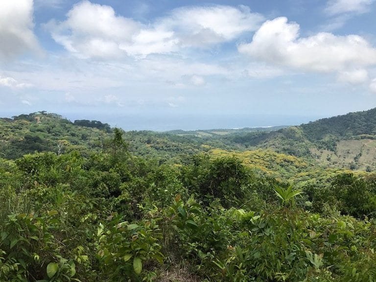 ll1700087_img-12_large-min