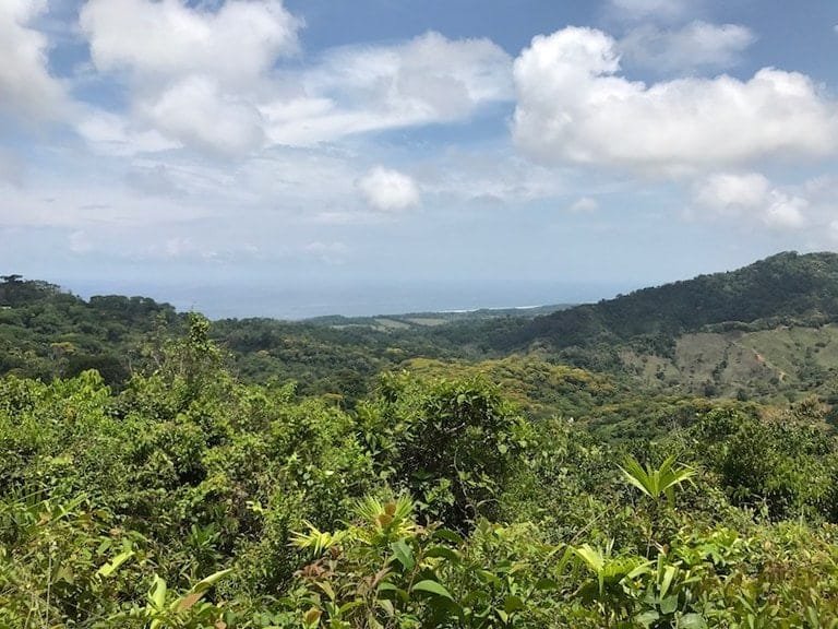 ll1700087_img-13_large-min