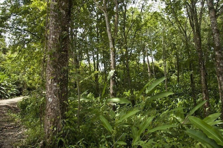 ll1700087_img-5_large-min