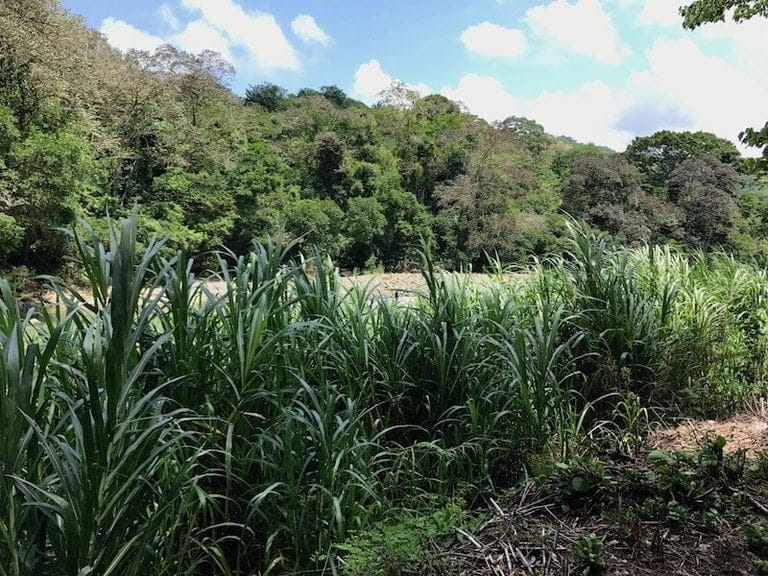 ll1700087_img-6_large-min