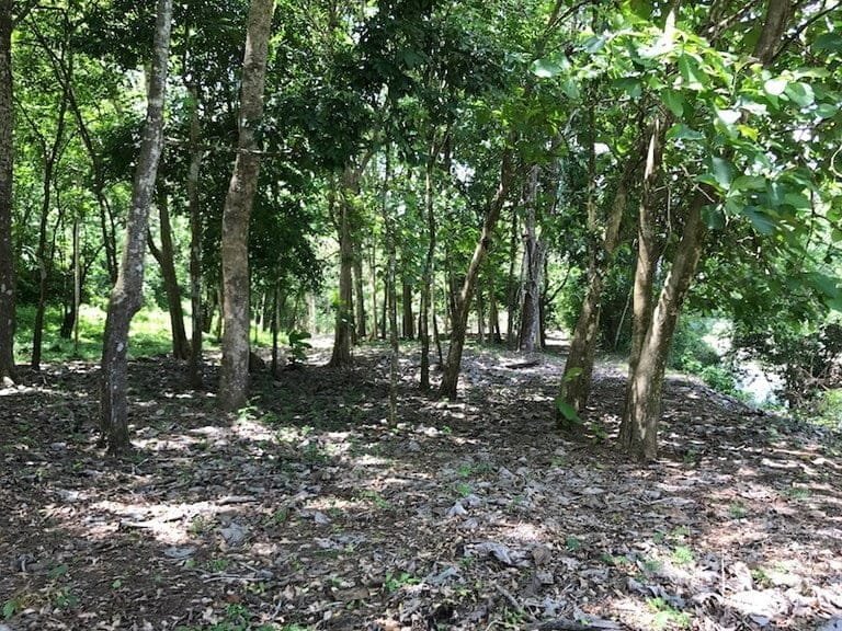 ll1700087_img-8_large-min