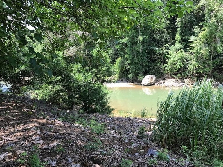 ll1700087_img-9_large-min