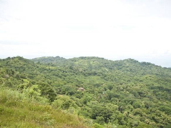 ll1700087_img_large-min