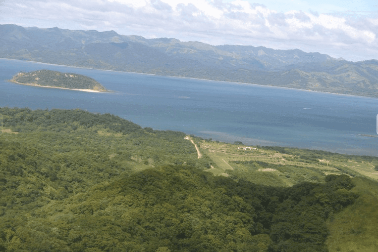 ll1700095_img-4_large-min