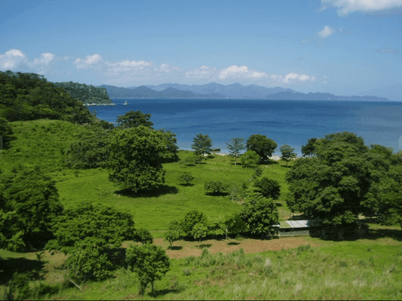 ll1700095_img-6_large-min