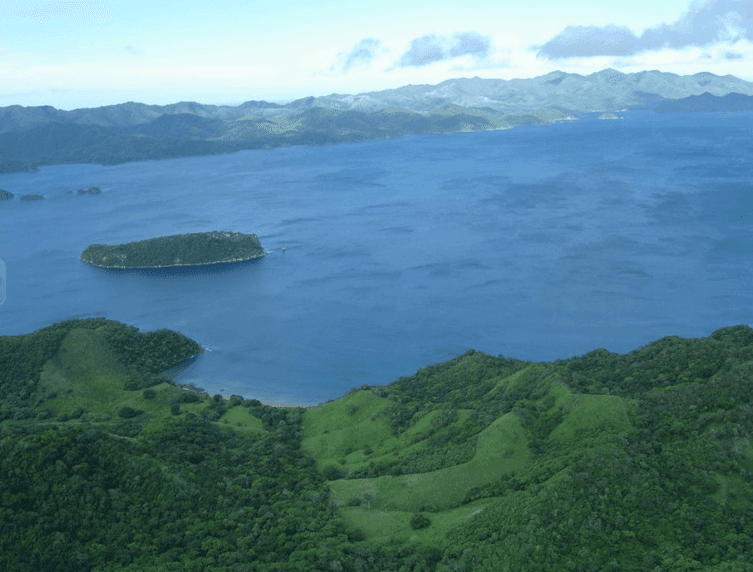 ll1700095_img-7_large-min