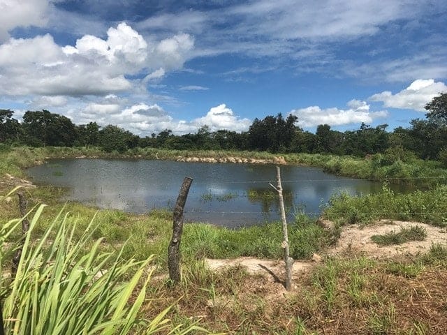 ll1700161_img-10_large-min