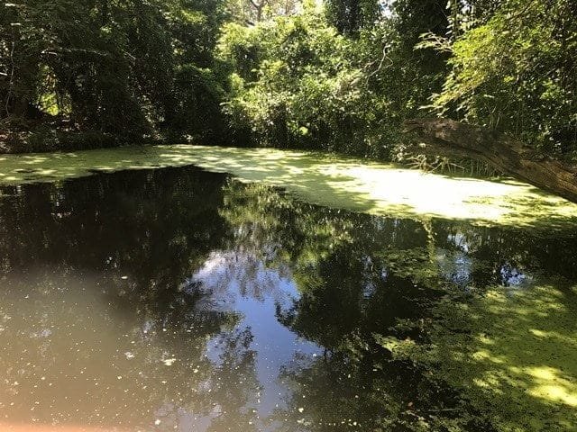 ll1700161_img-20_large-min