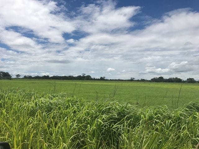 ll1700161_img-31_large-min