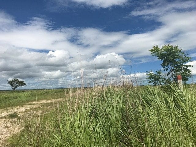 ll1700161_img-34_large-min