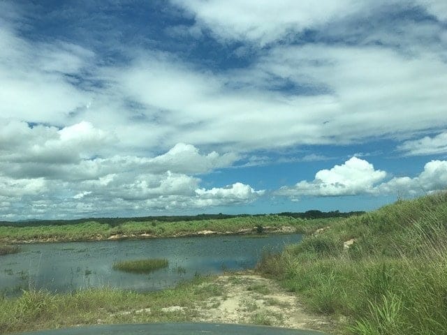 ll1700161_img-38_large-min