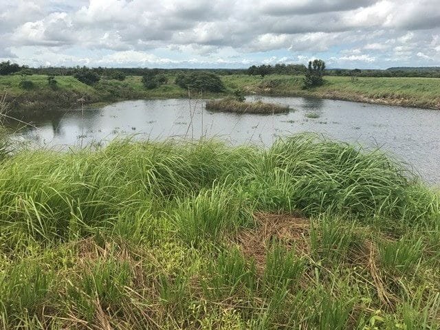 ll1700161_img-45_large-min