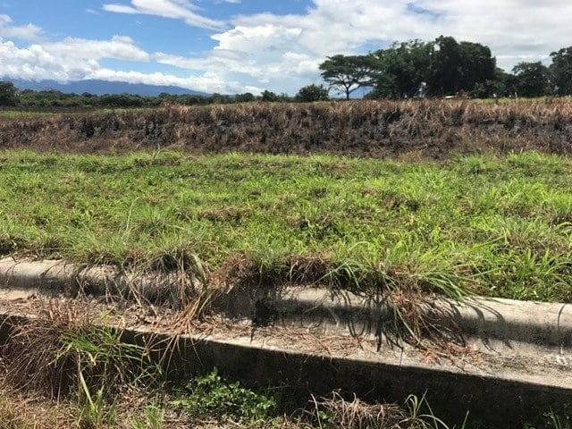 ll1700161_img-64_large-min