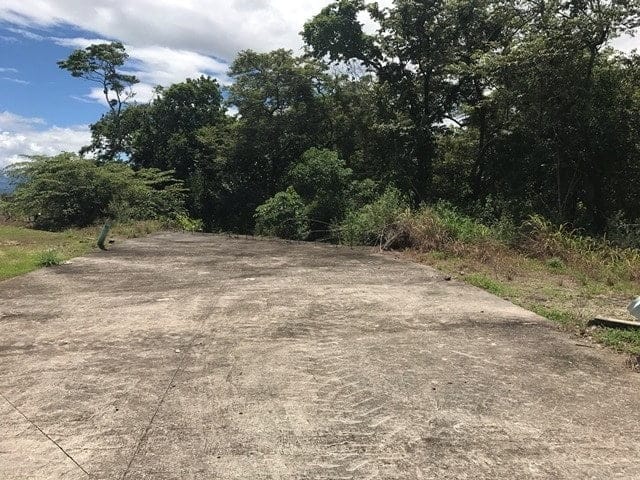 ll1700161_img-68_large-min