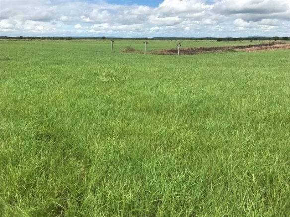 ll1700161_img-6_large-min