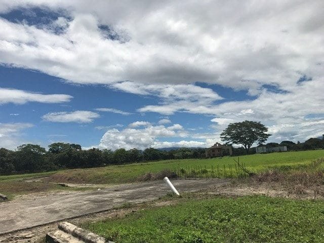 ll1700161_img-71_large-min