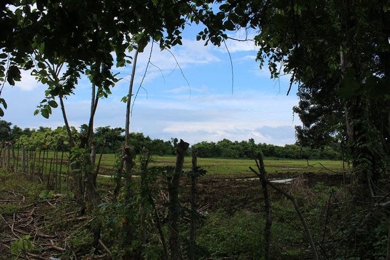 ll1800010_img-4_large-min