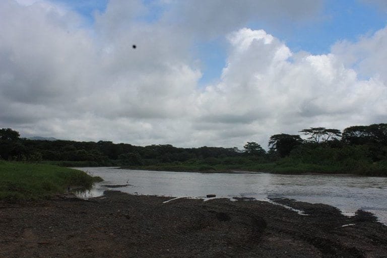 ll1800010_img-5_large-min