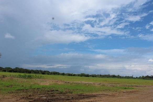 ll1800010_img-7_large-min