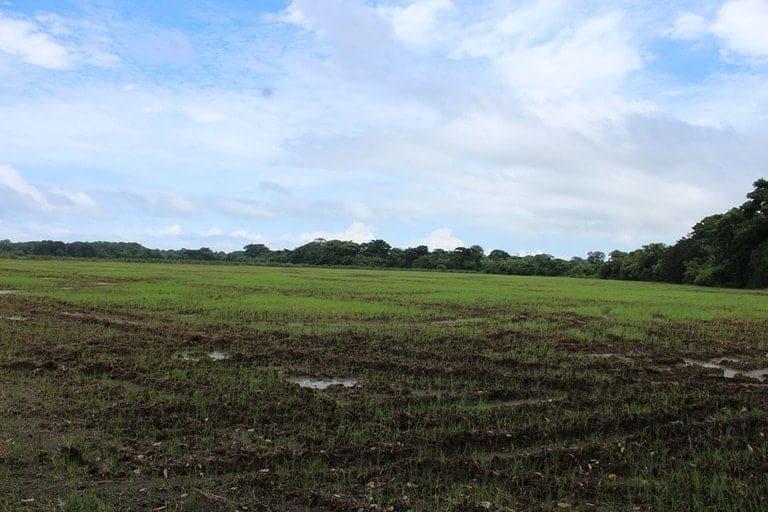 ll1800010_img-8_large-min