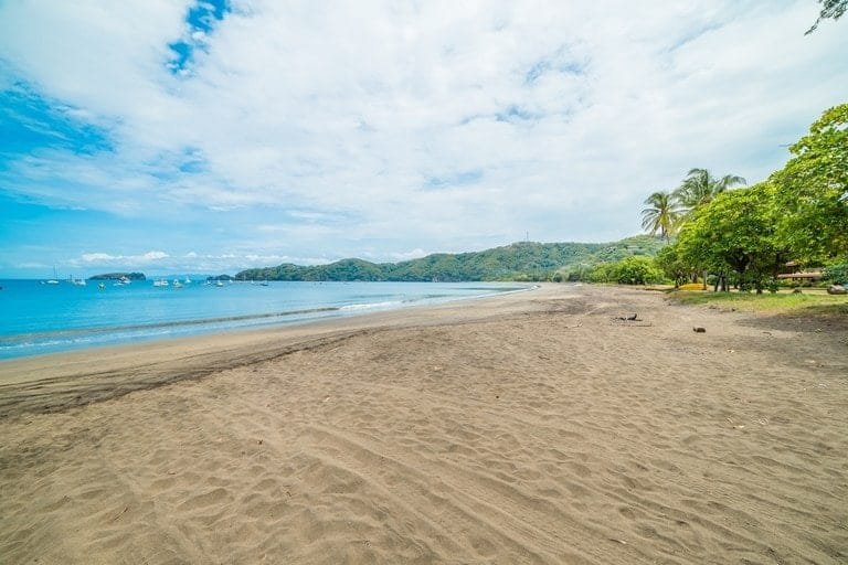 ll1800213_img-13_large-min