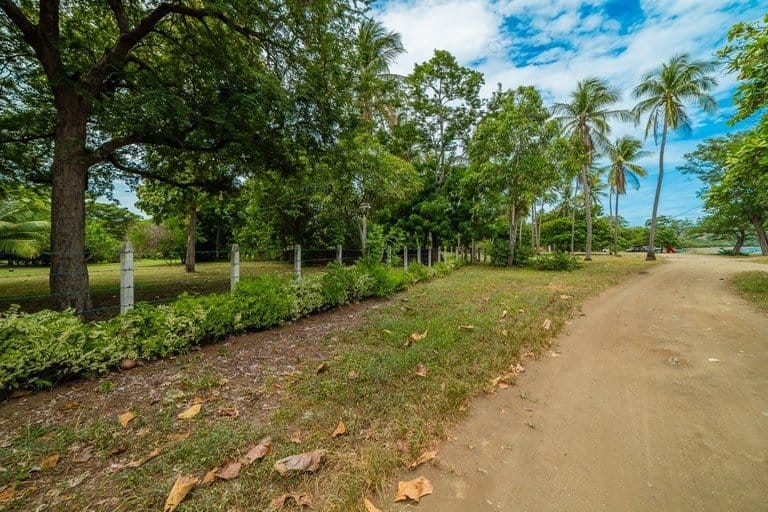 ll1800213_img-17_large-min