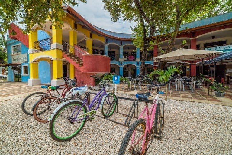 ll1800213_img-20_large-min