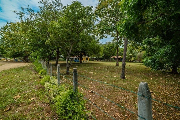 ll1800213_img-21_large-min