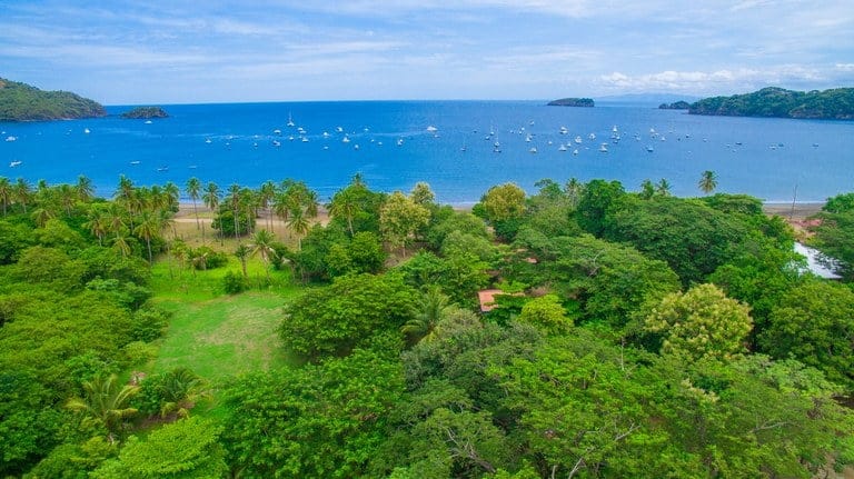 ll1800213_img-9_large-min