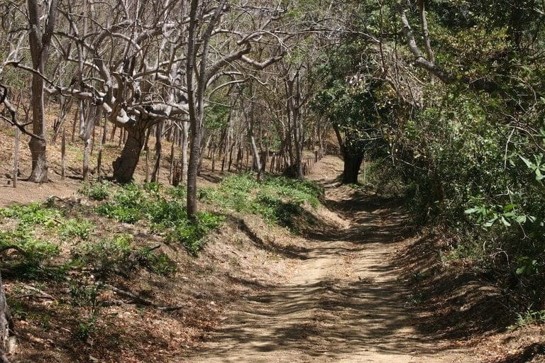 ll1800305_img-10_large-min