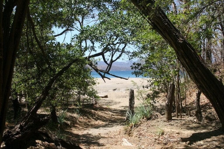 ll1800305_img-11_large-min