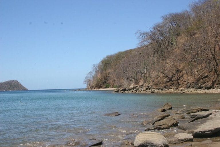 ll1800305_img-12_large-min