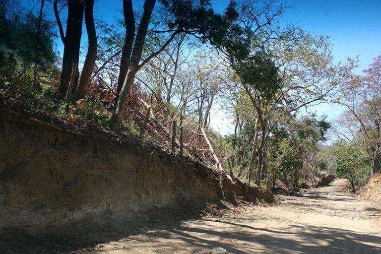 ll1800305_img-2_large-min