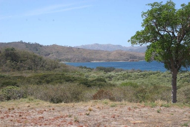 ll1800305_img-3_large-min