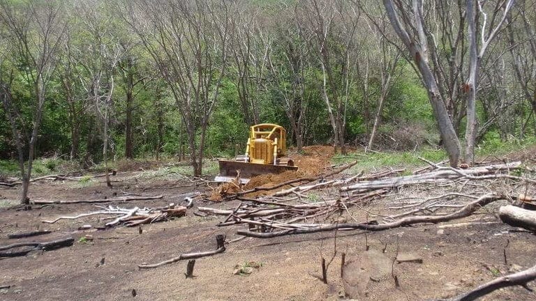 ll1800305_img-5_large-min