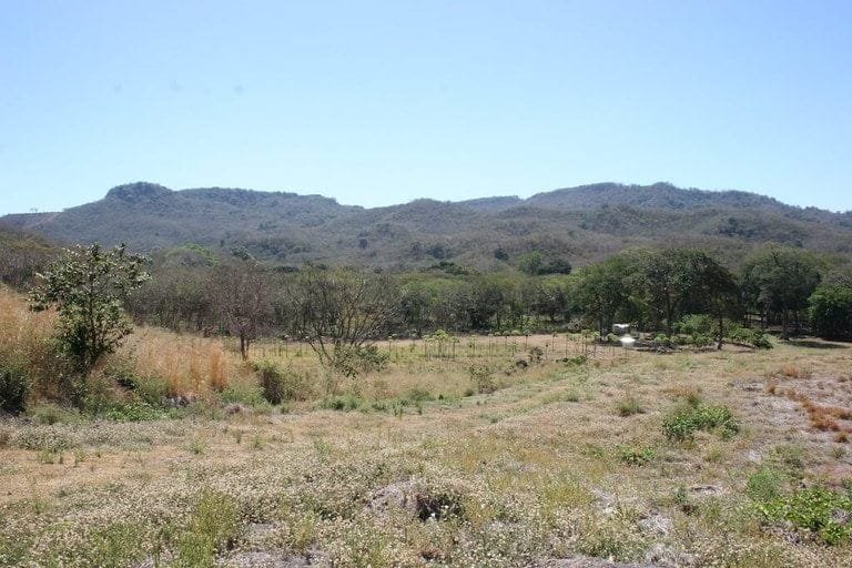 ll1800305_img-6_large-min