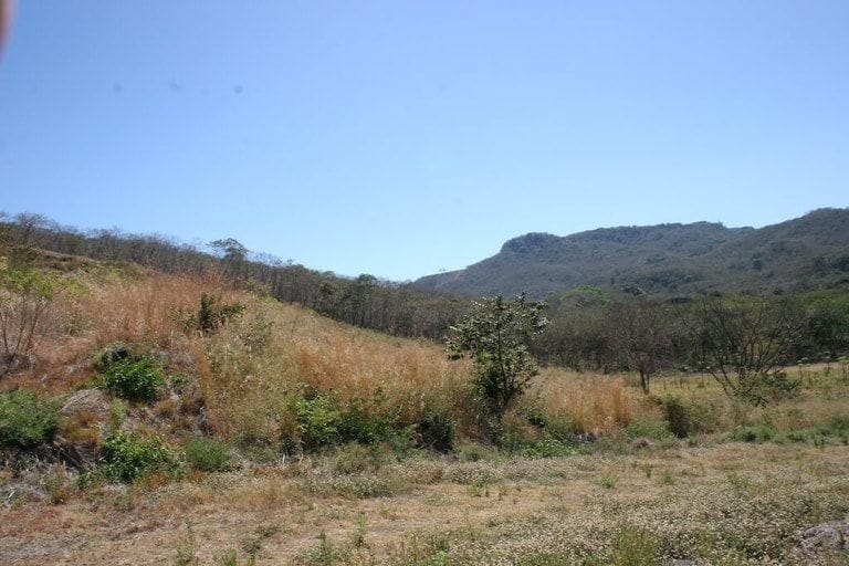 ll1800305_img-7_large-min