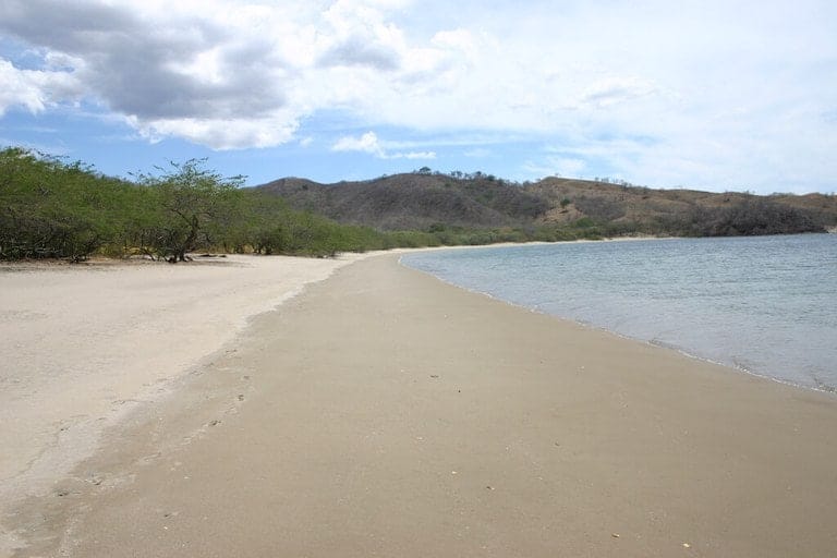 ll1800305_img_large-min