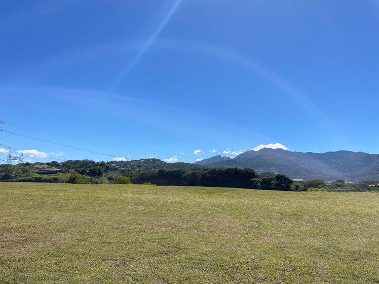 ll1900088_img-11_large-min