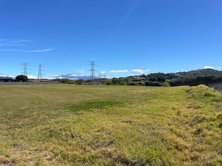 ll1900088_img-7_large-min