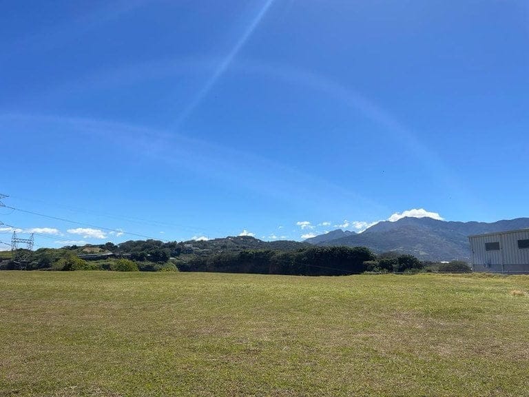 ll1900088_img-8_large-min