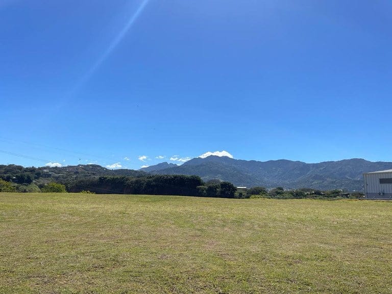 ll1900088_img_large-min