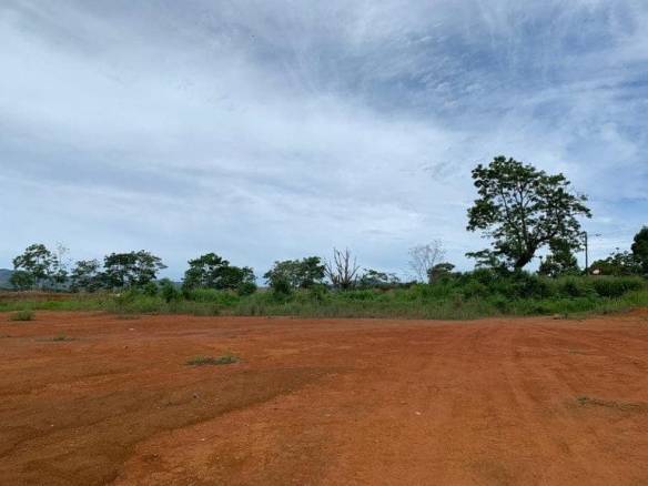 ll1900132_img-4_large-min