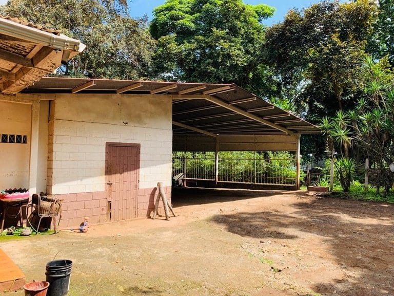 ll1900234_img-10_large-min