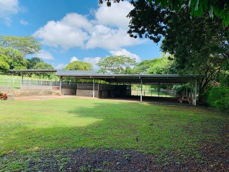 ll1900234_img-11_large-min