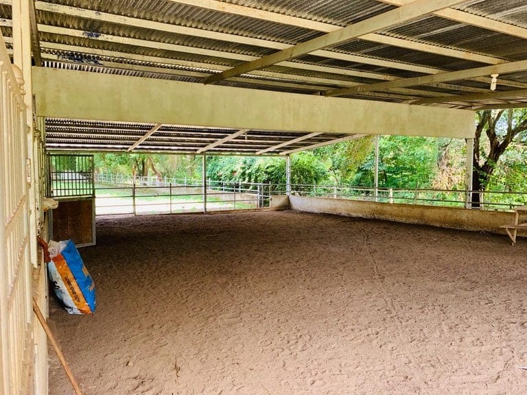 ll1900234_img-12_large-min