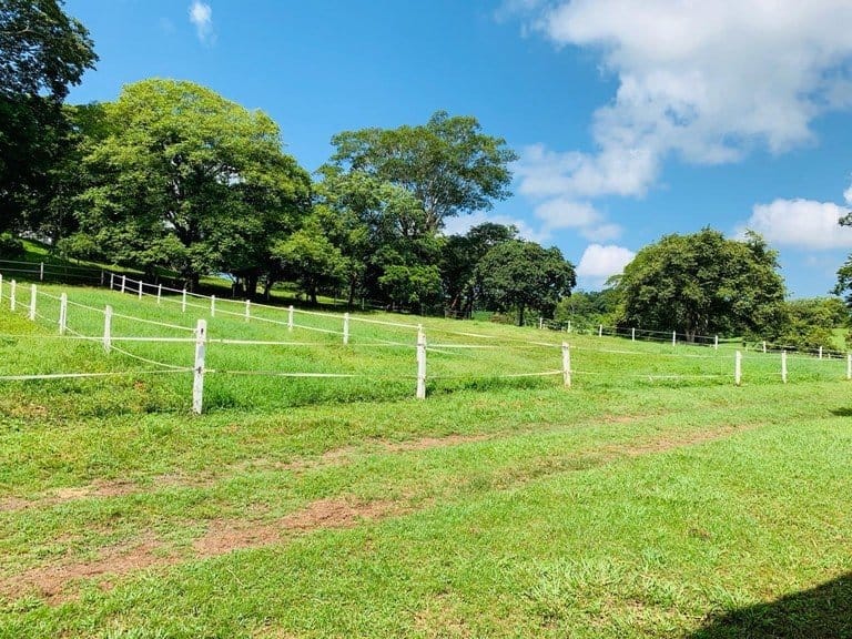 ll1900234_img-13_large-min