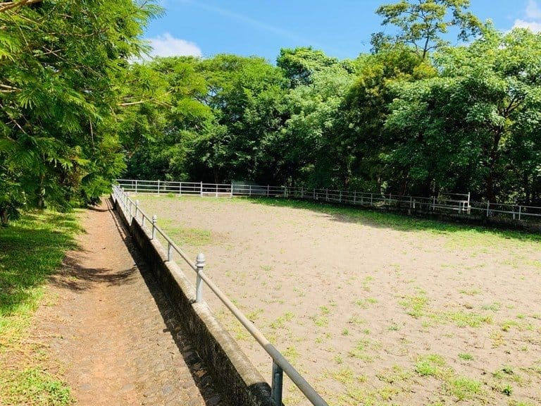 ll1900234_img-14_large-min