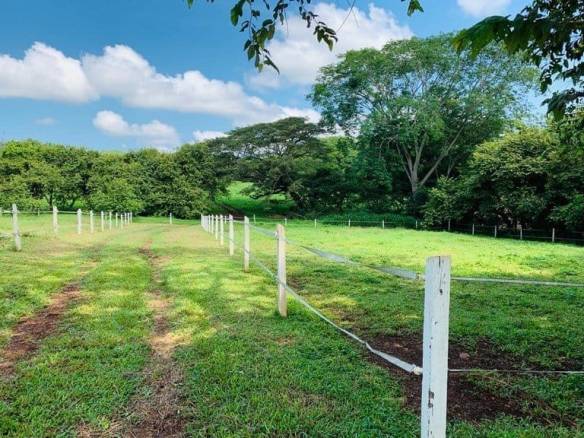 ll1900234_img-15_large-min