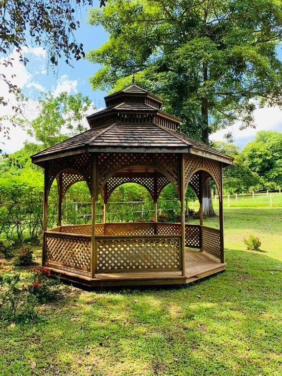 ll1900234_img-2_large-min